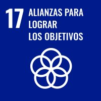17 Alianzas